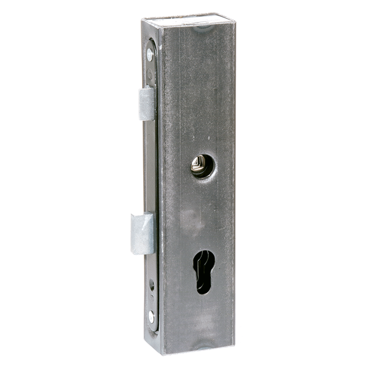 Carcasă metalică + broască incastrabilă pentru profil de 60x40 mm; 63.222.11