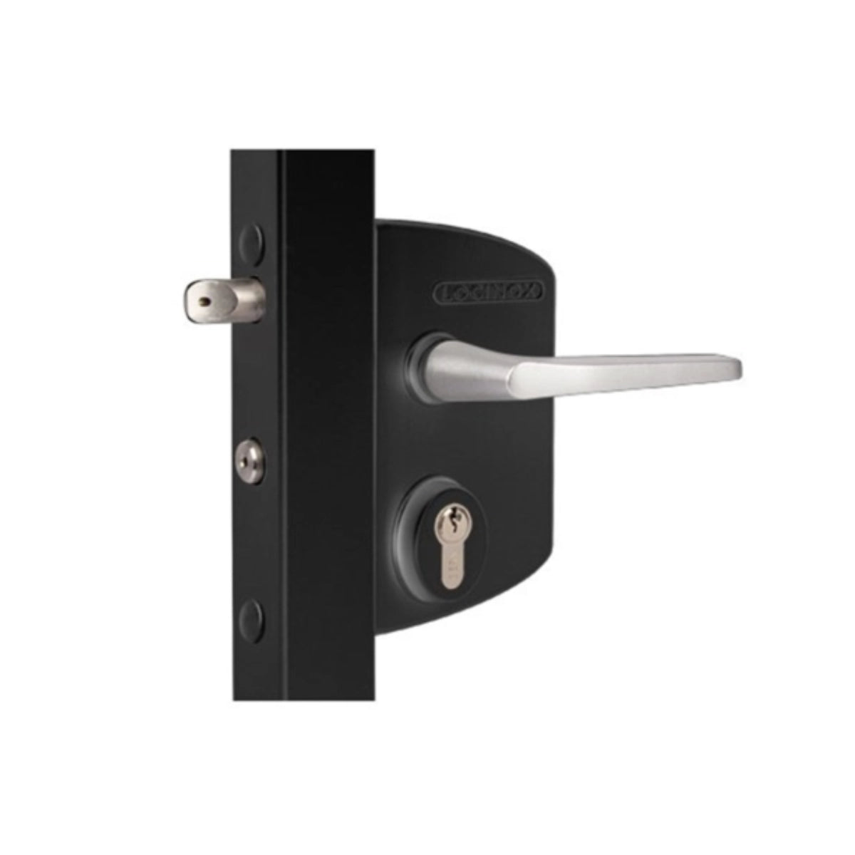 Încuietoare pentru porți, pentru profile 40-60 mm - LAKQ U2