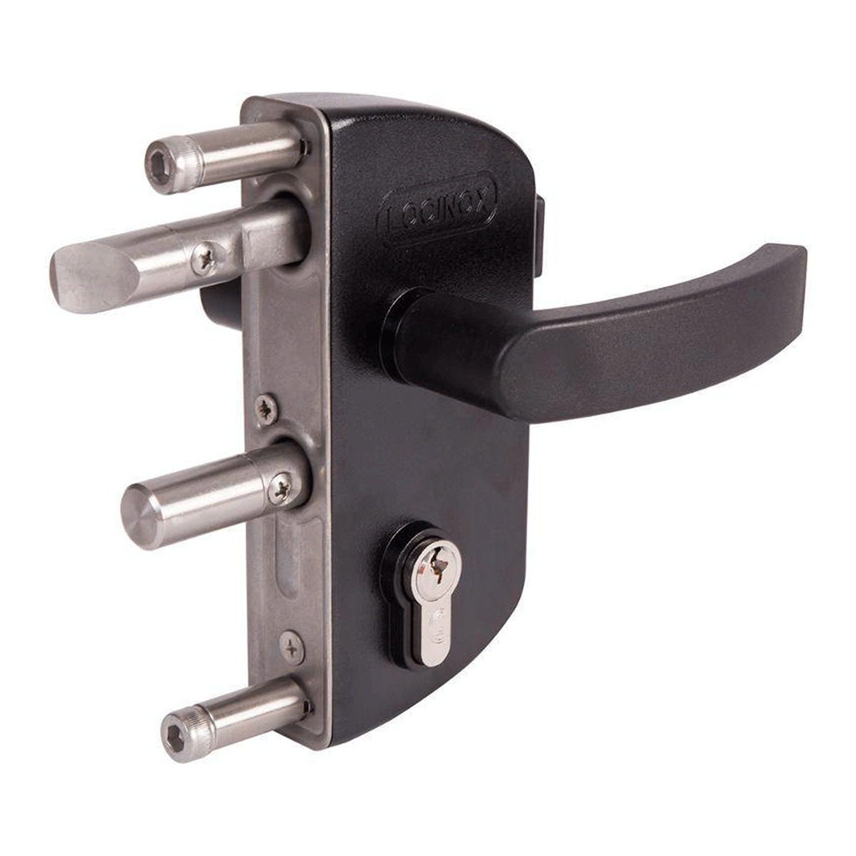 Încuietoare pentru porți metalice, pentru profile 40x40mm - LAKZ40P1LVCAP-9005